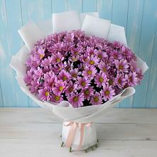 Букет сиреневая охапка #REPLACE_PRED# Куровском Букет цветов из:  Хризантемы #REPLACE_PRED# Куровском