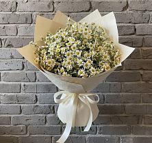 Букет цветов из:  Ромашки #REPLACE_PRED# Куровском